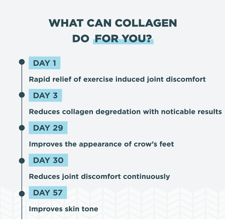 Multi Collagen Joint & Mobility 90 Capsules, by Ancient Nutrition