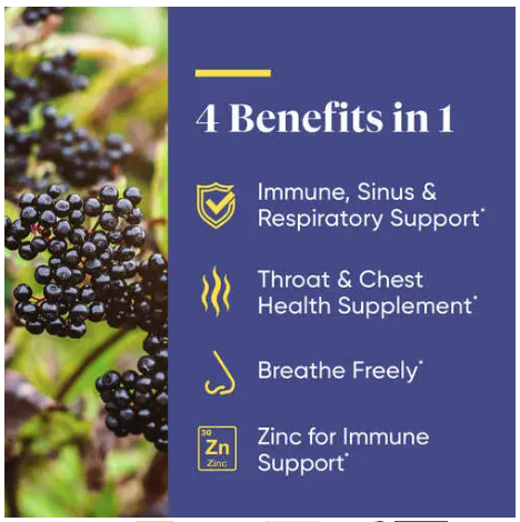 Black Elderberry plus Probiotics and Zinc On The Go Immune Packs - Discontinued